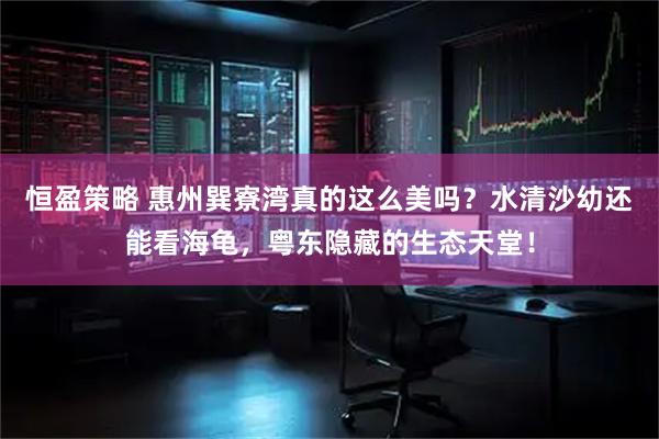 恒盈策略 惠州巽寮湾真的这么美吗？水清沙幼还能看海龟，粤东隐藏的生态天堂！