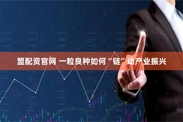 盟配资官网 一粒良种如何“链”动产业振兴